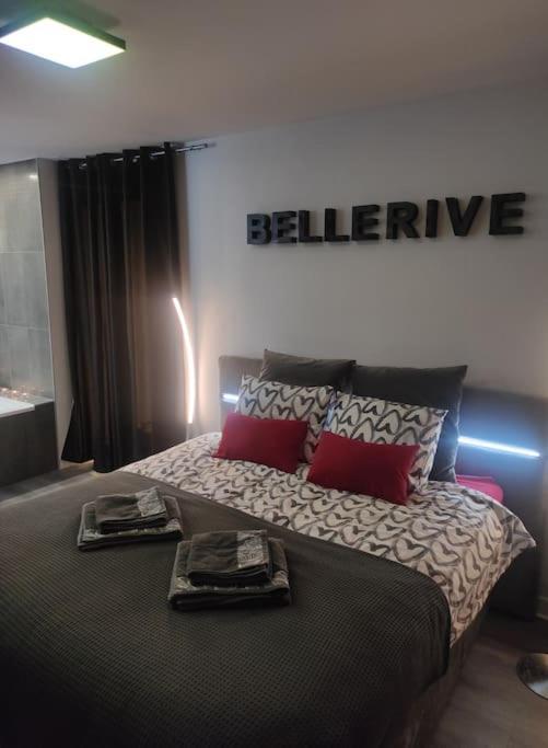 Bellerive Love Suite Magnifique Vue Lac Publier Екстер'єр фото